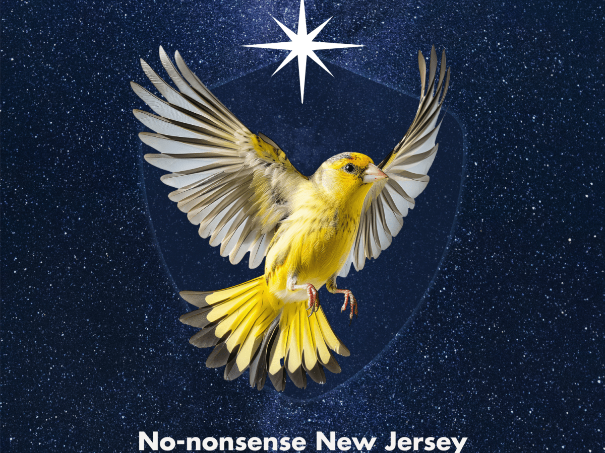No-nonsense New Jerseyans want Constitutional rights&nbsp;upheld